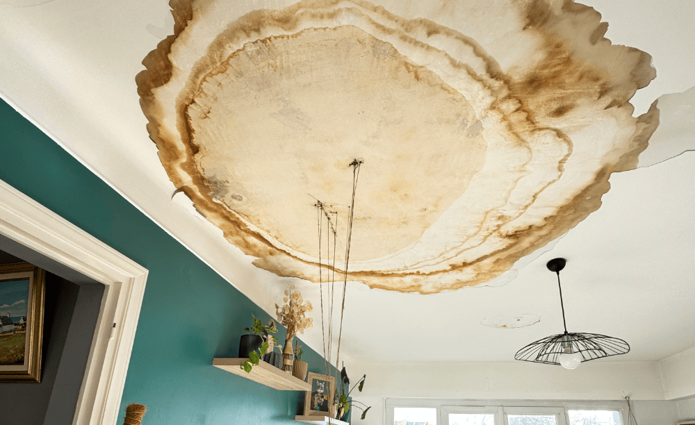 Contre-expertise de sinistre : infiltration d'eau